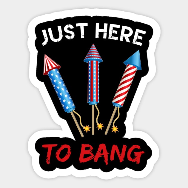 Just Here To Bang Firecrackers 4th of July Sticker by Kaileymahoney